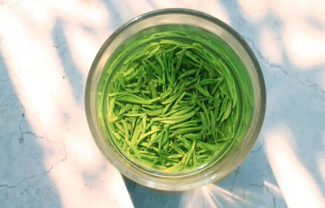 I feel dizzy and nauseous after drinking tea, what's the matter? iNEWS