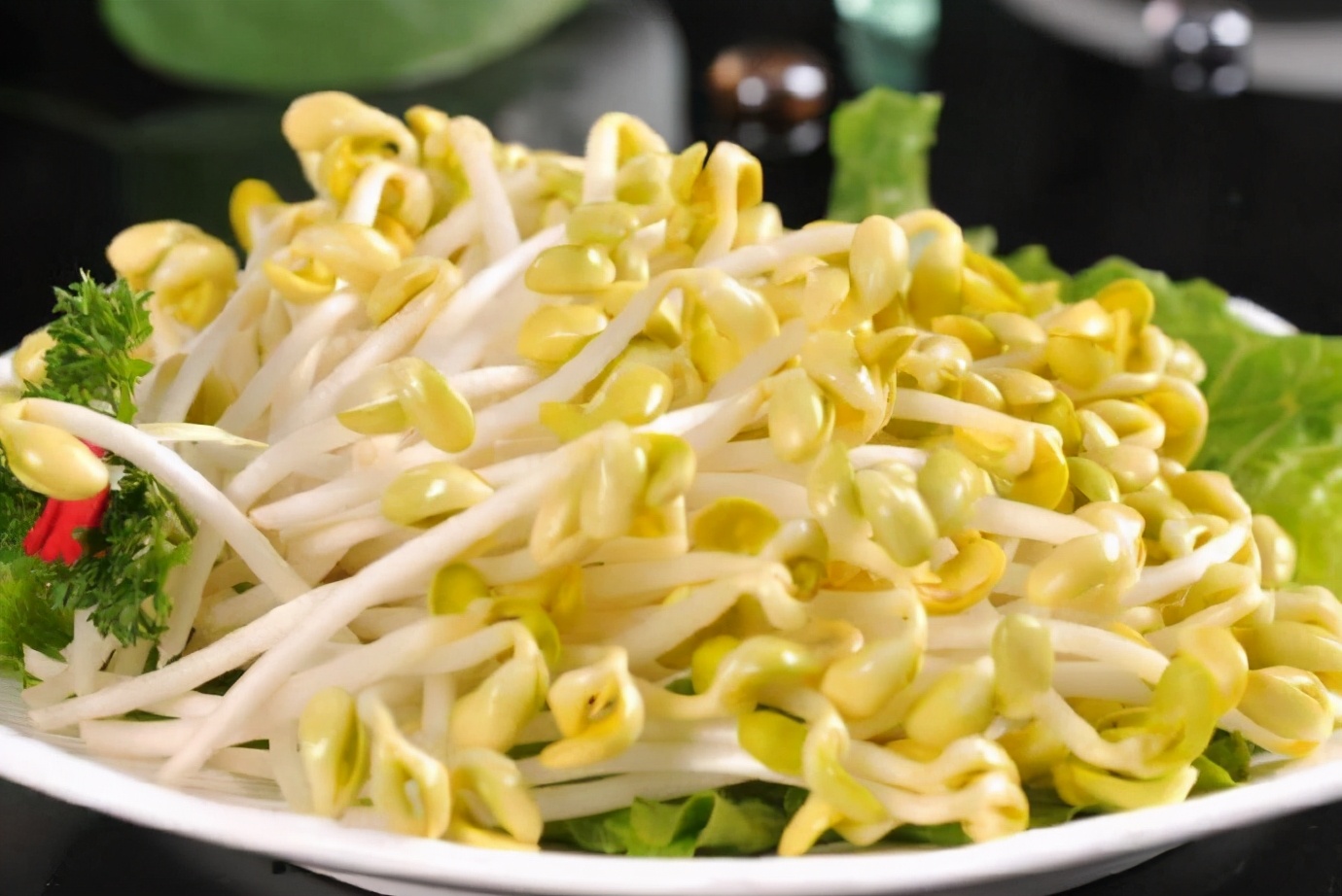 Soy bean sprouts or mung bean sprouts?Which one is better? - iNEWS