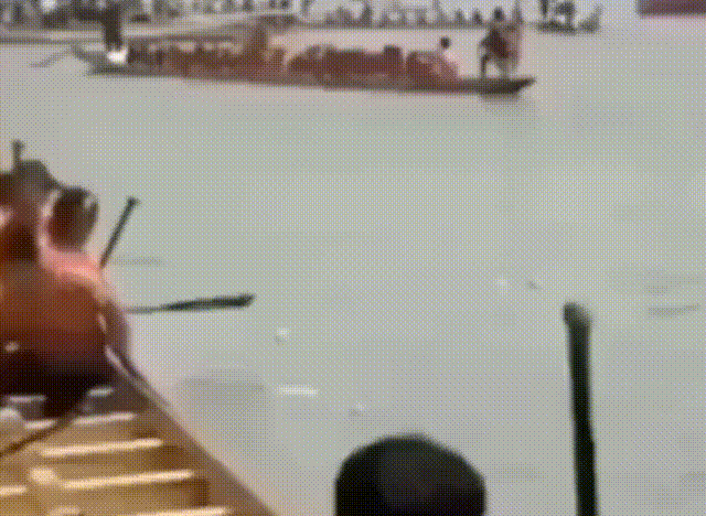 搞笑动图：明明你动了情，却又不靠近！
