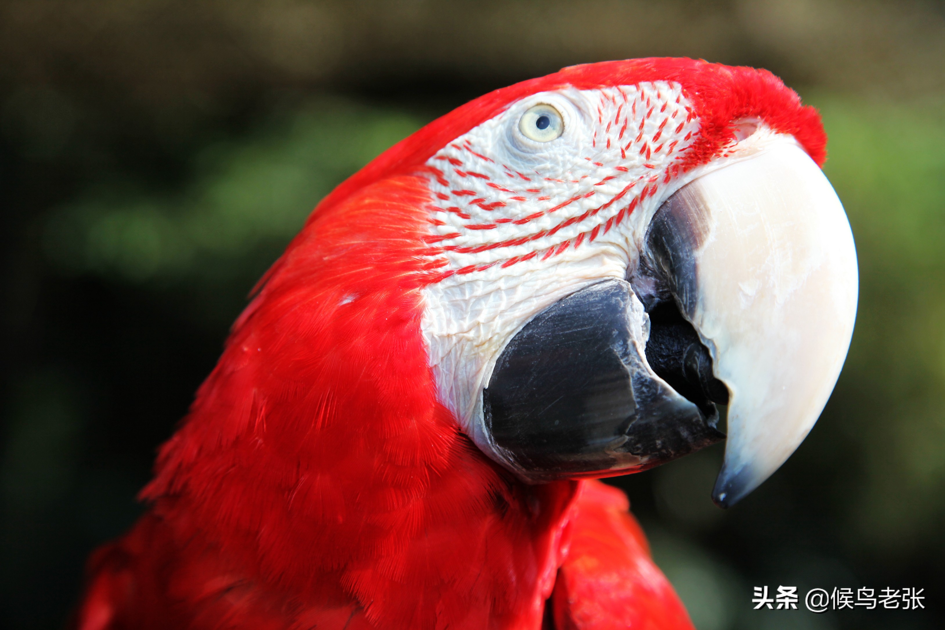 what-does-noda-mean-it-s-clear-when-you-go-to-baoting-rainforest