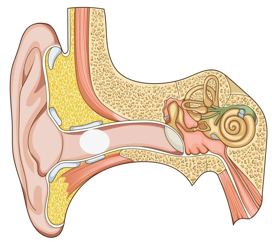 What to do if the hearing aid has echo, here is a super practical