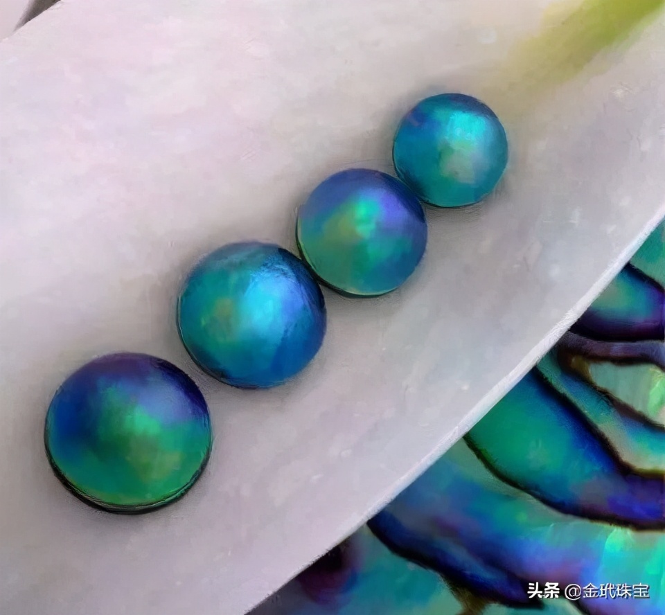 When the man killed the abalone, he unexpectedly gave out a natural