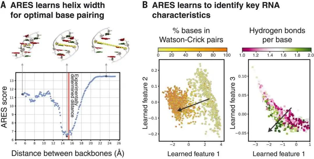 Post-90s Stanford doctoral dissertation is on the cover of Science!AI ...