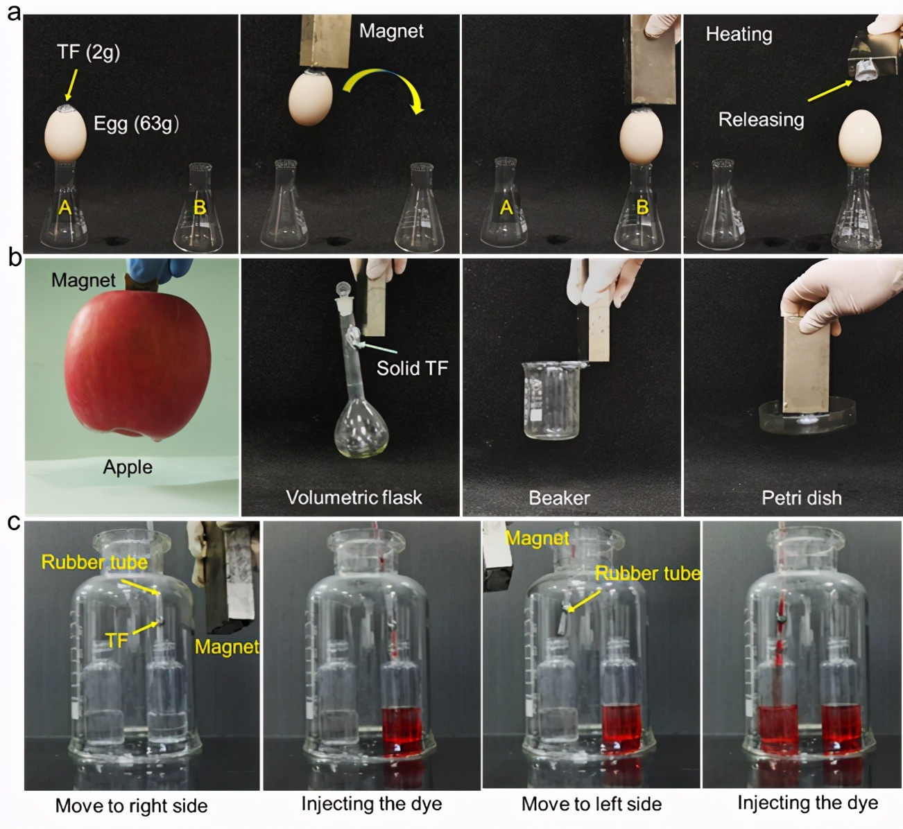 Liquid magnetic fluid TF comes out, manipulation of magnetic field can ...