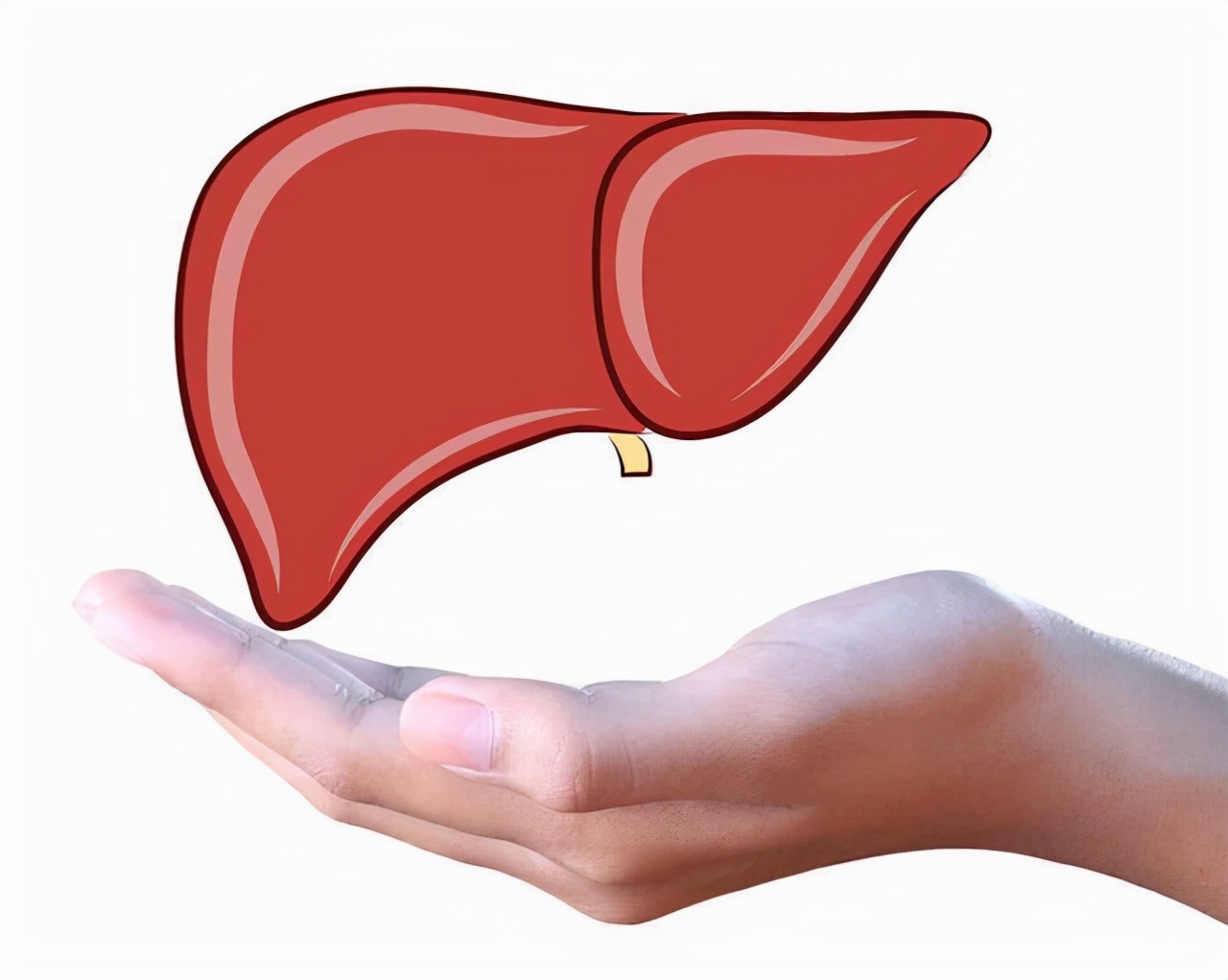 Does hepatitis B patients eat eggs every day, will it aggravate the