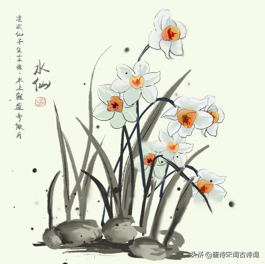 The daffodils in poems bloom most beautifully in winter iNEWS