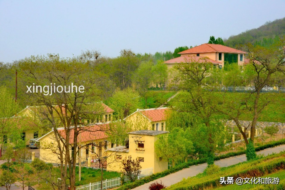 weifang-changle-jingshui-lake-scenery-inews