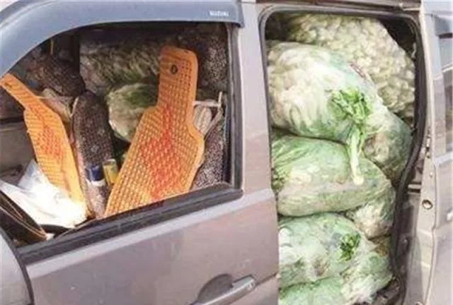 那位违章的卖菜人要不要被罚？