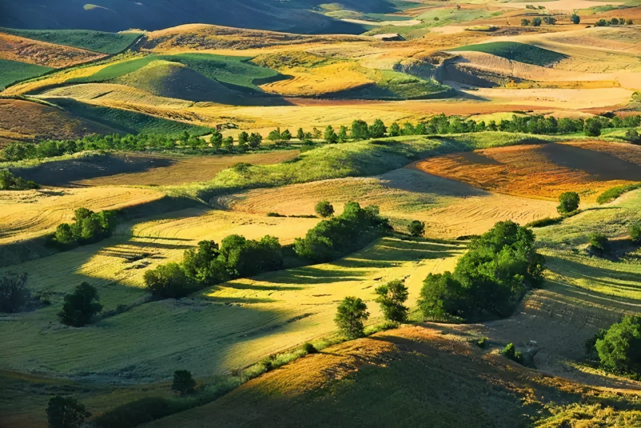 唯独只有新疆可以将高山,草原,沙漠,绿洲,戈壁,雅丹,牛羊,木屋,花海