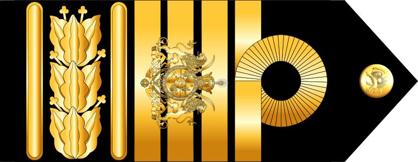 Iranian Rank Insignia