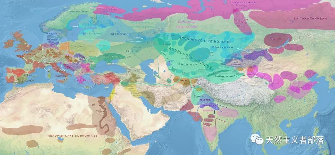 Do language and genes share the history of cultural evolution? - iNEWS