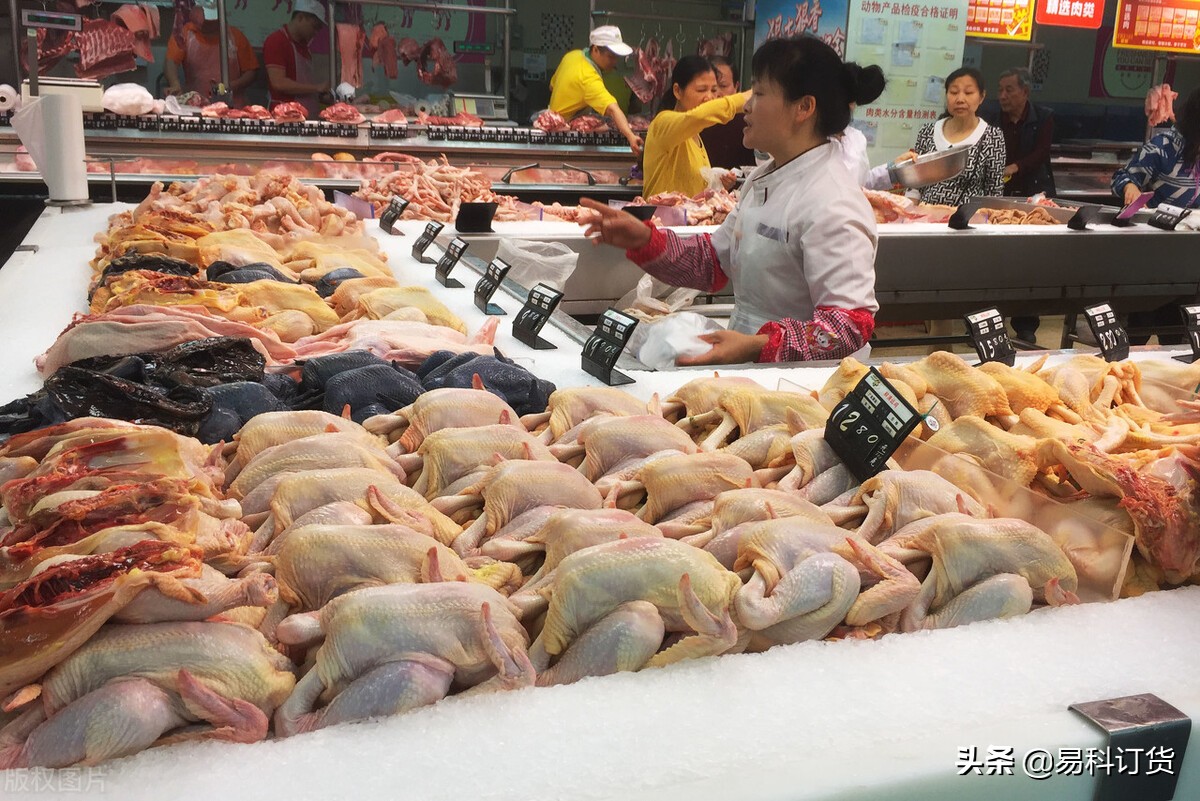 how-does-food-distribution-system-software-help-fresh-food-enterprises