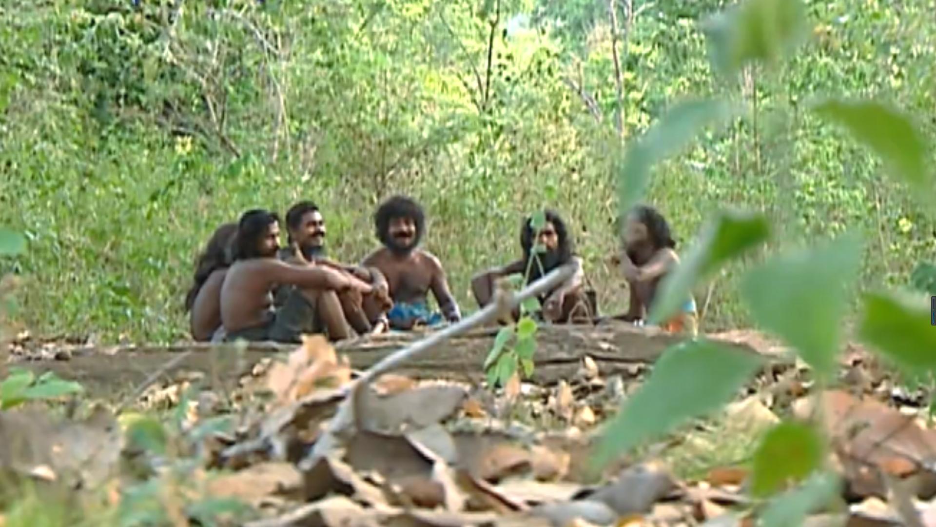 The axe gang of primitive tribes they are trapped in the forest