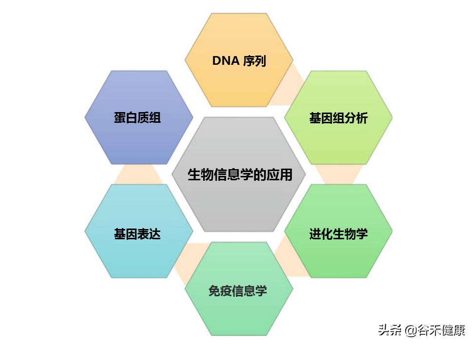 The application of bioinformatics in second-generation sequencing ...