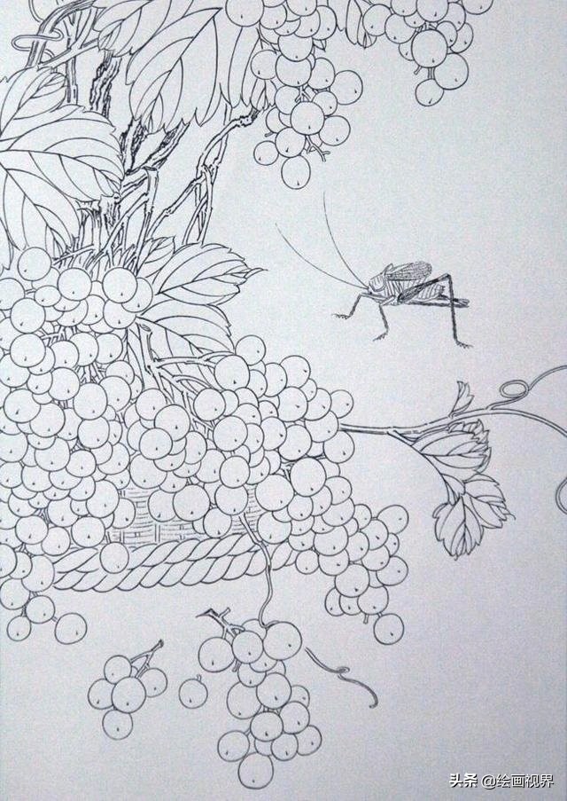 How Line Draft How do beginners draw correctly?Hurry up and collect these rare line ...