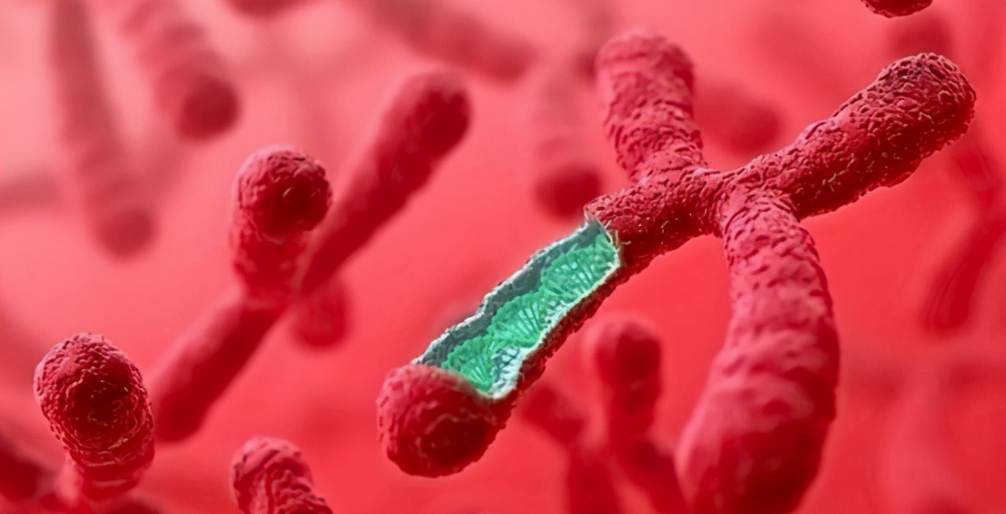 This is bad news!The Y chromosome is disappearing, will there be men in the future? iNEWS