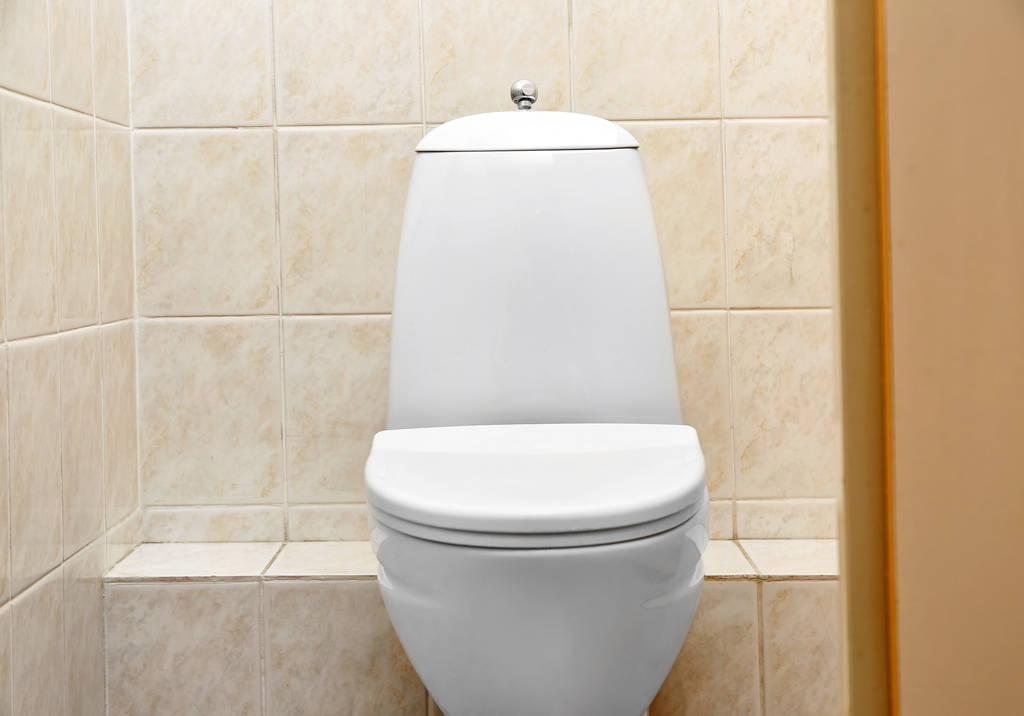 What is the difference between a cheap toilet and an expensive toilet?The owner of the toilet