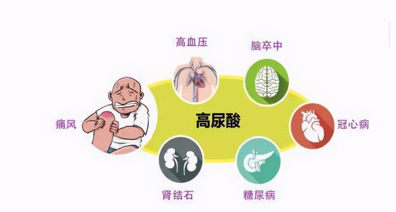 控制饮食尿酸不降你的尿酸高或许与饮食无关