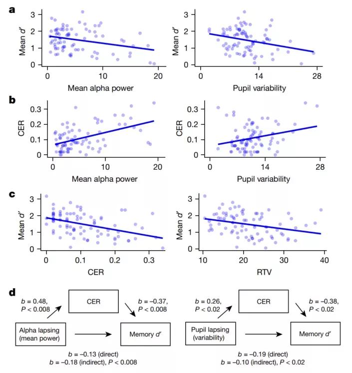 “屏读之民”和他们正在缺失的注意力