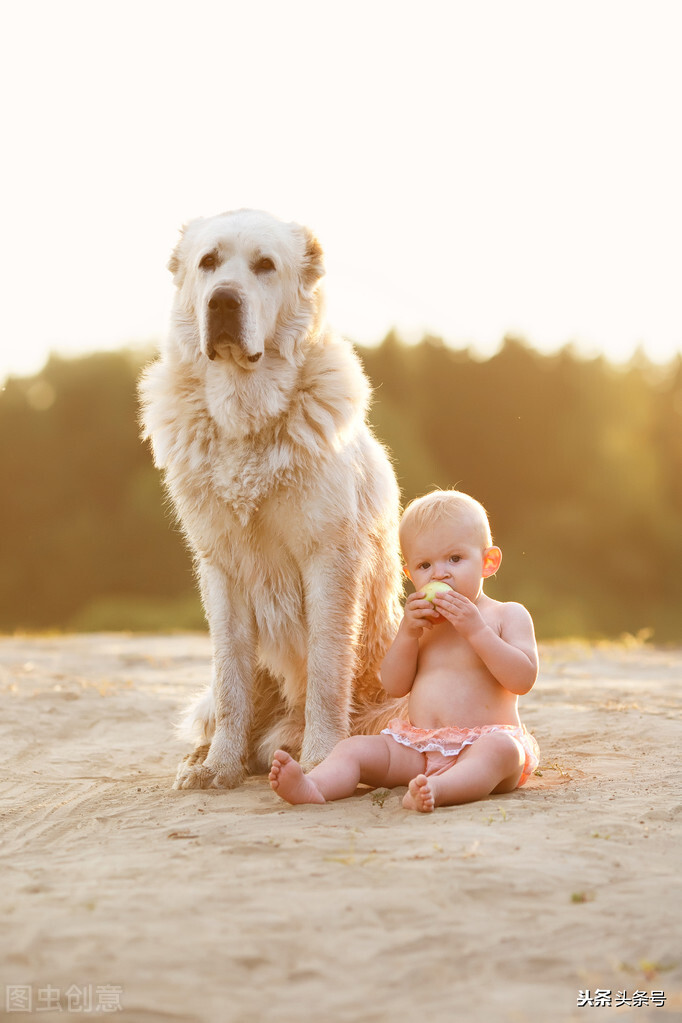Do you agree or disagree with your child having a pet? iNEWS