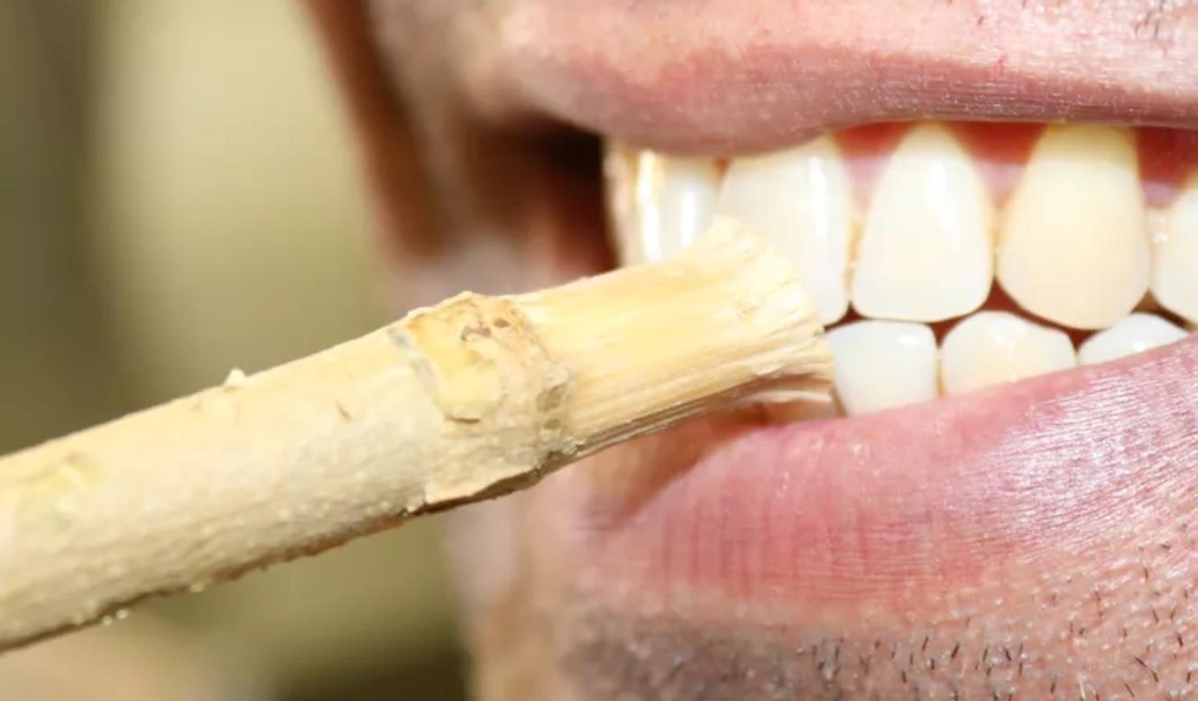 Why do Romans have a soft spot for urine when washing clothes, brushing