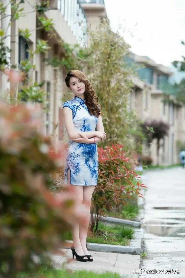 The encounter between cheongsam and bonsai, a kind of alluring beauty ...