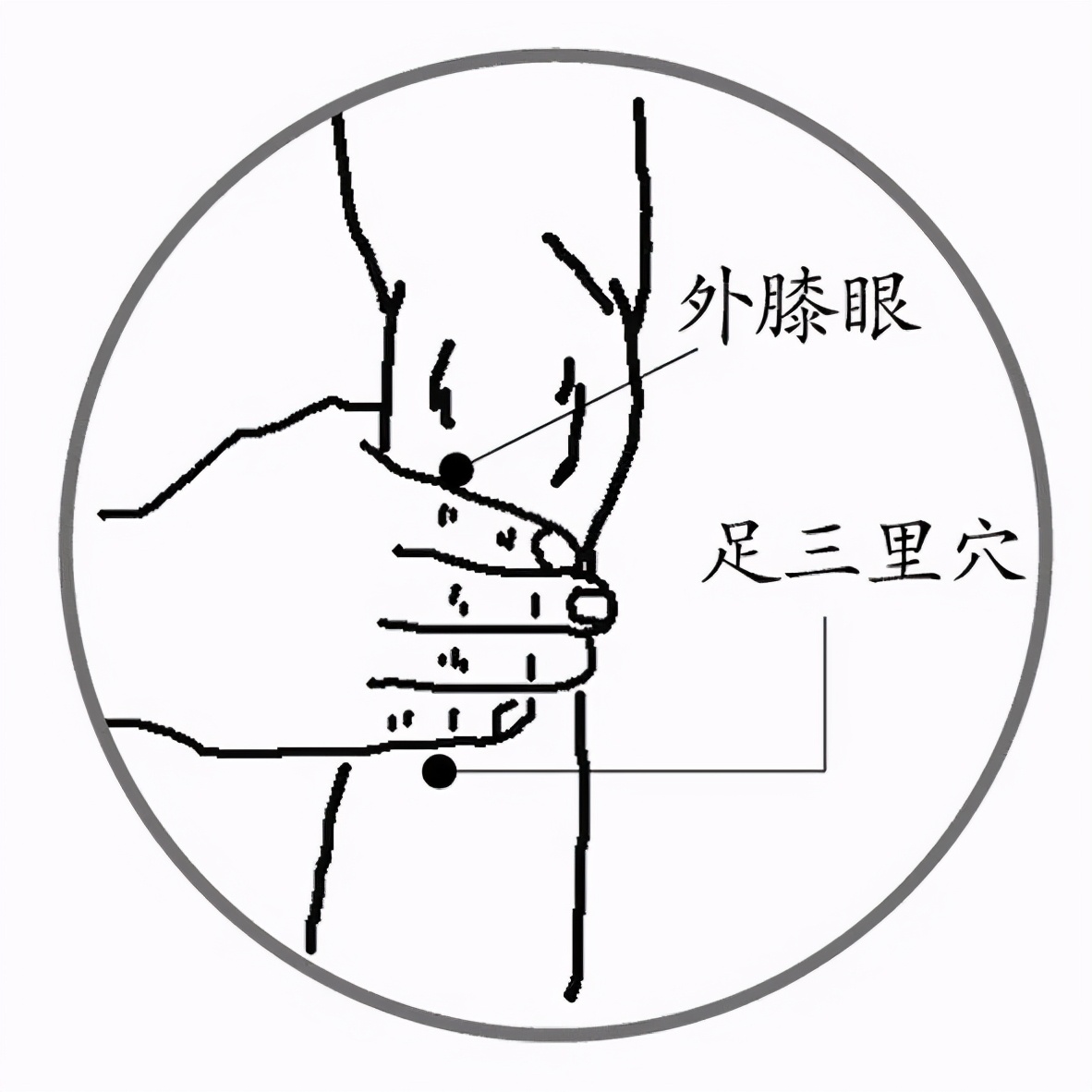 Qi and blood are the source of life, learn ten acupuncture points for