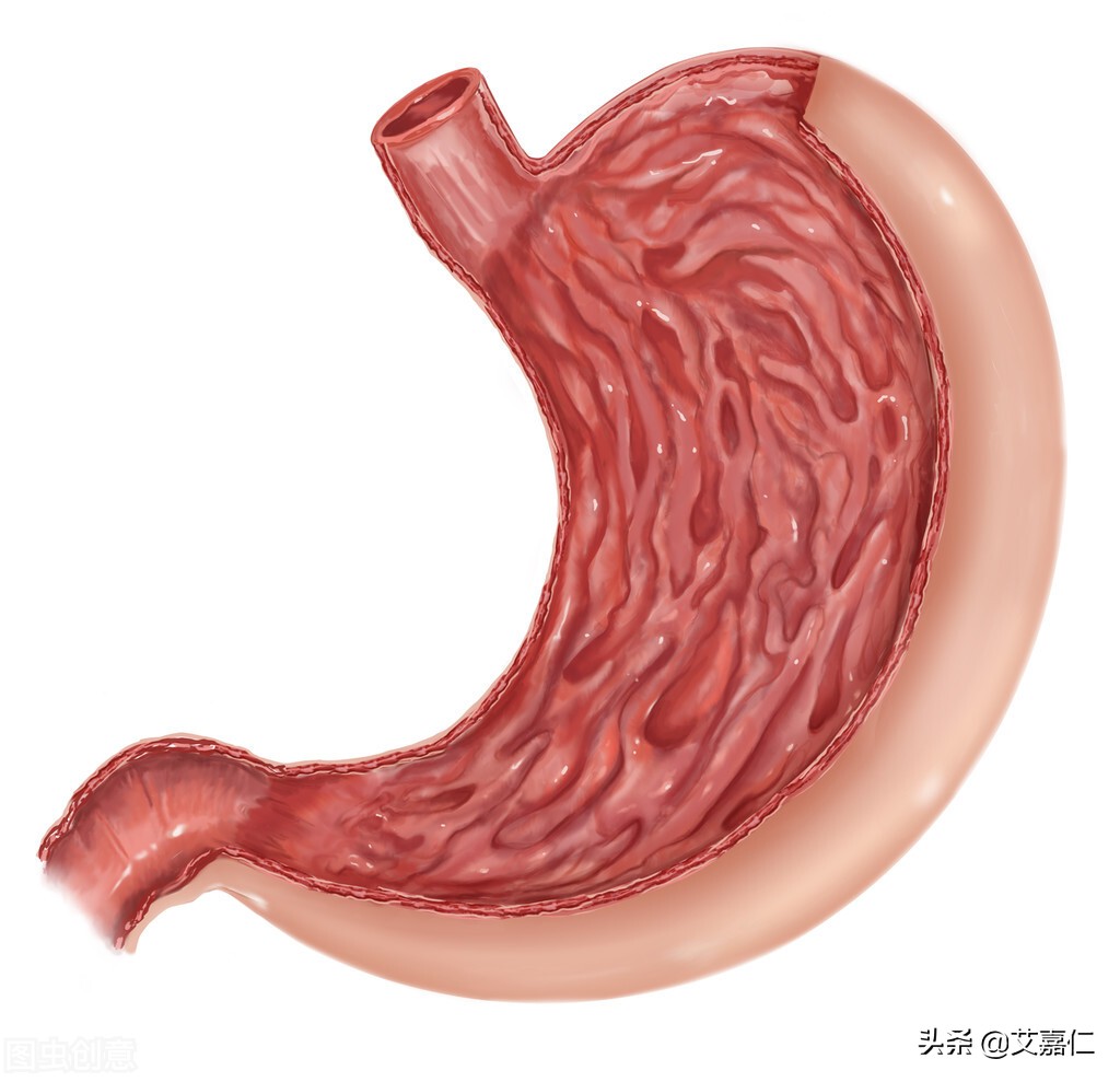 Ai Jiaren︱ Why does eating eggplant cause stomach problems? iNEWS