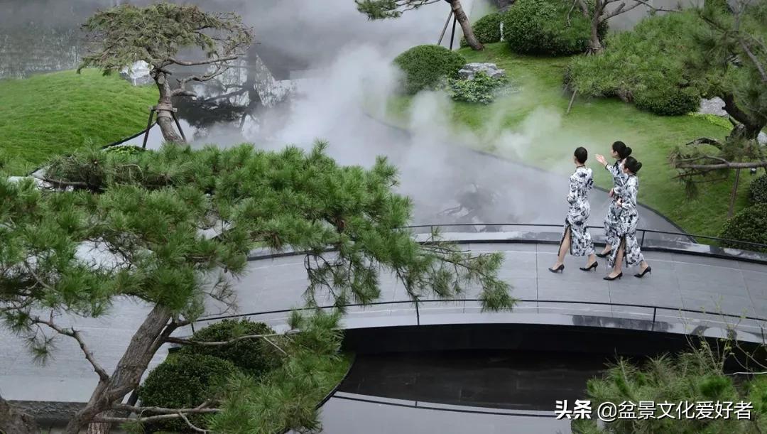 The encounter between cheongsam and bonsai, a kind of alluring beauty ...