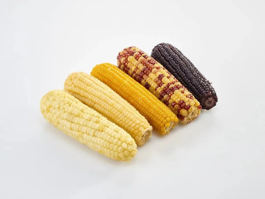 Why does corn taste sweeter with some salt?What are the other little