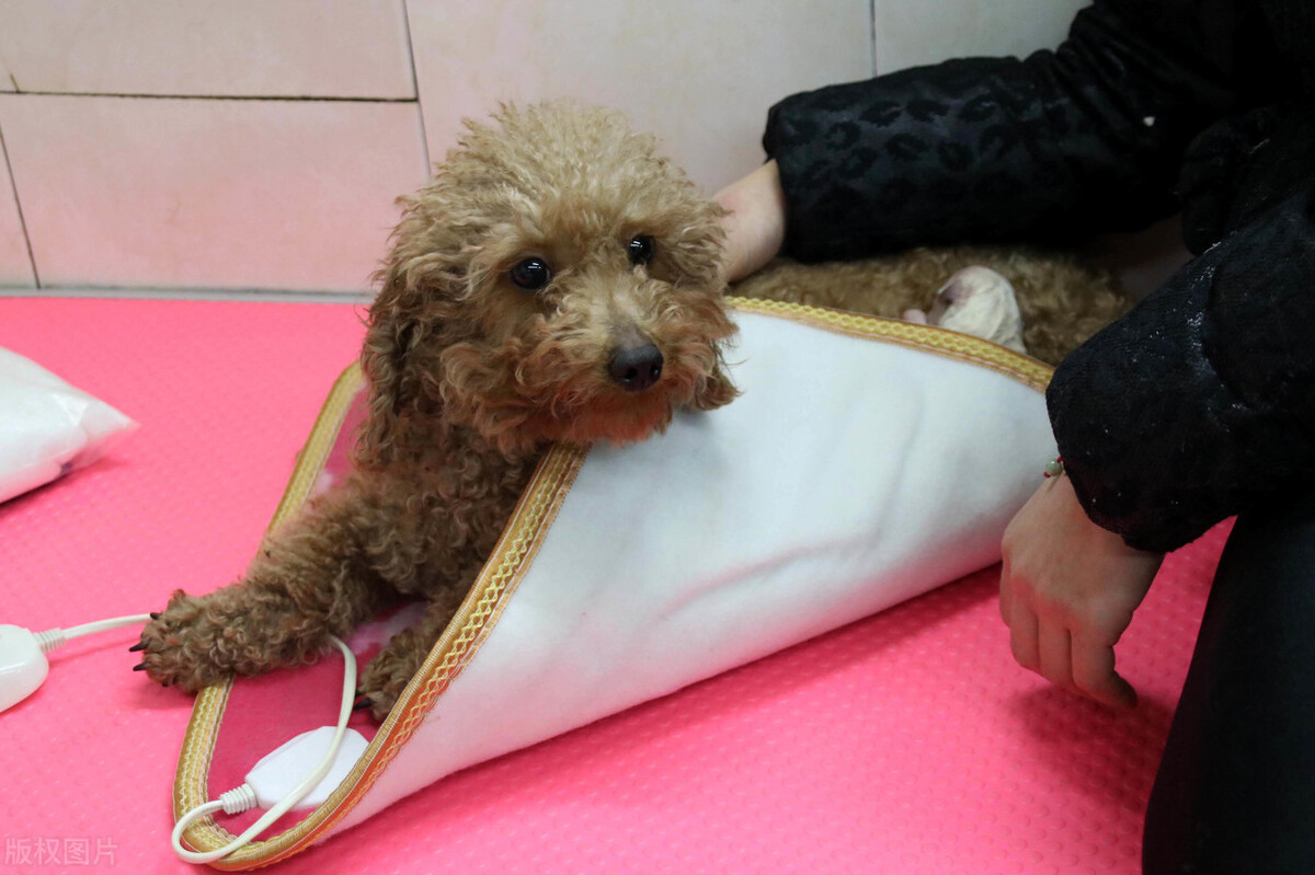 How To Get Smell Out Of Electric Blanket at Anneliese Floyd blog