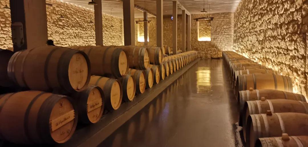 "Intermediate Guide" Everything you need to know about wine and oak barrels iNEWS