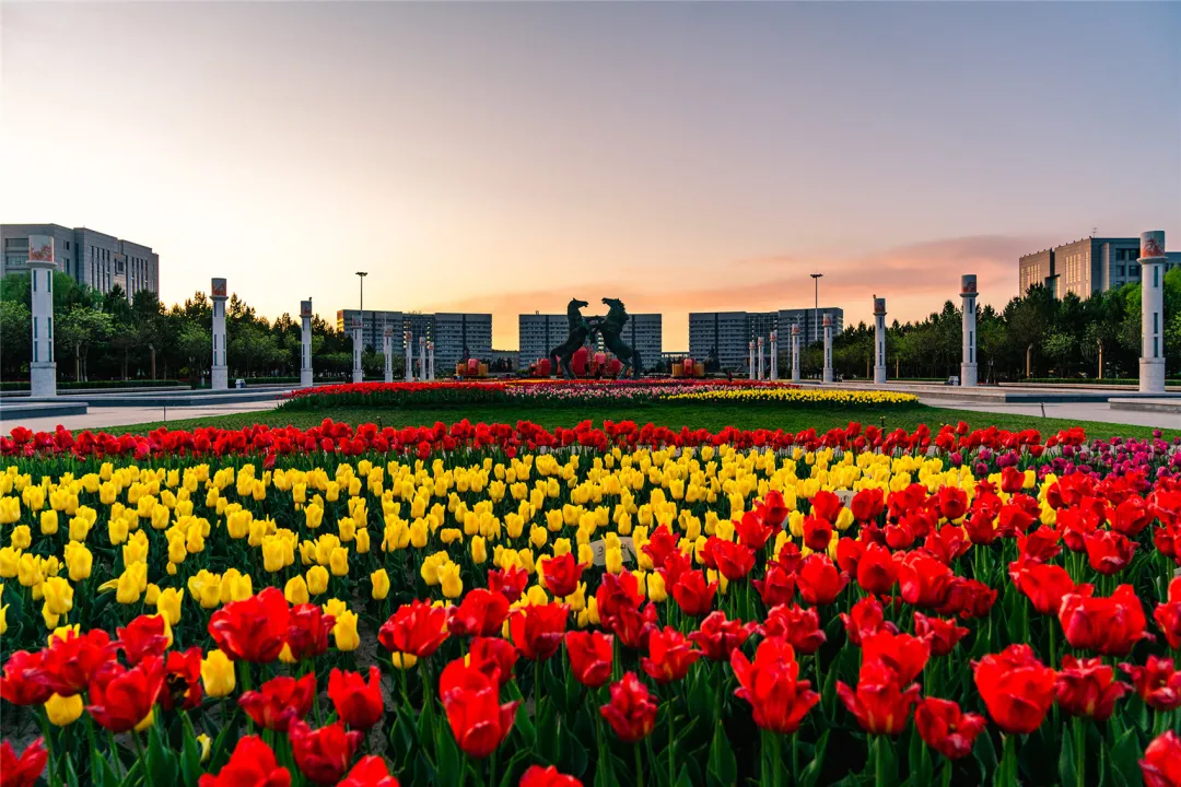 Ordos Four Seasons Flower Appreciation Cultural Tourism Activities