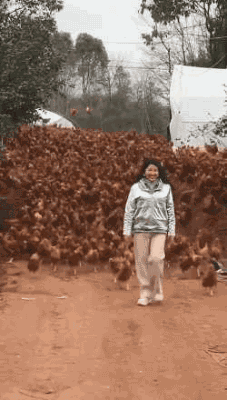 爆笑gif动图 小伙子有前途啊 看到妹子立马选择放弃姐姐 搞笑gif 力太大 糗百力太大