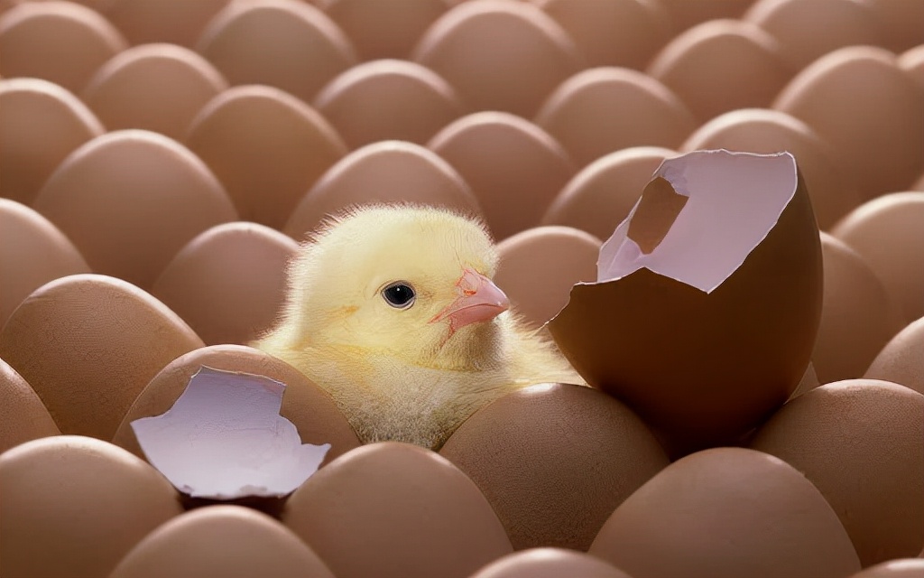 Understand the history of biological development, where did the first