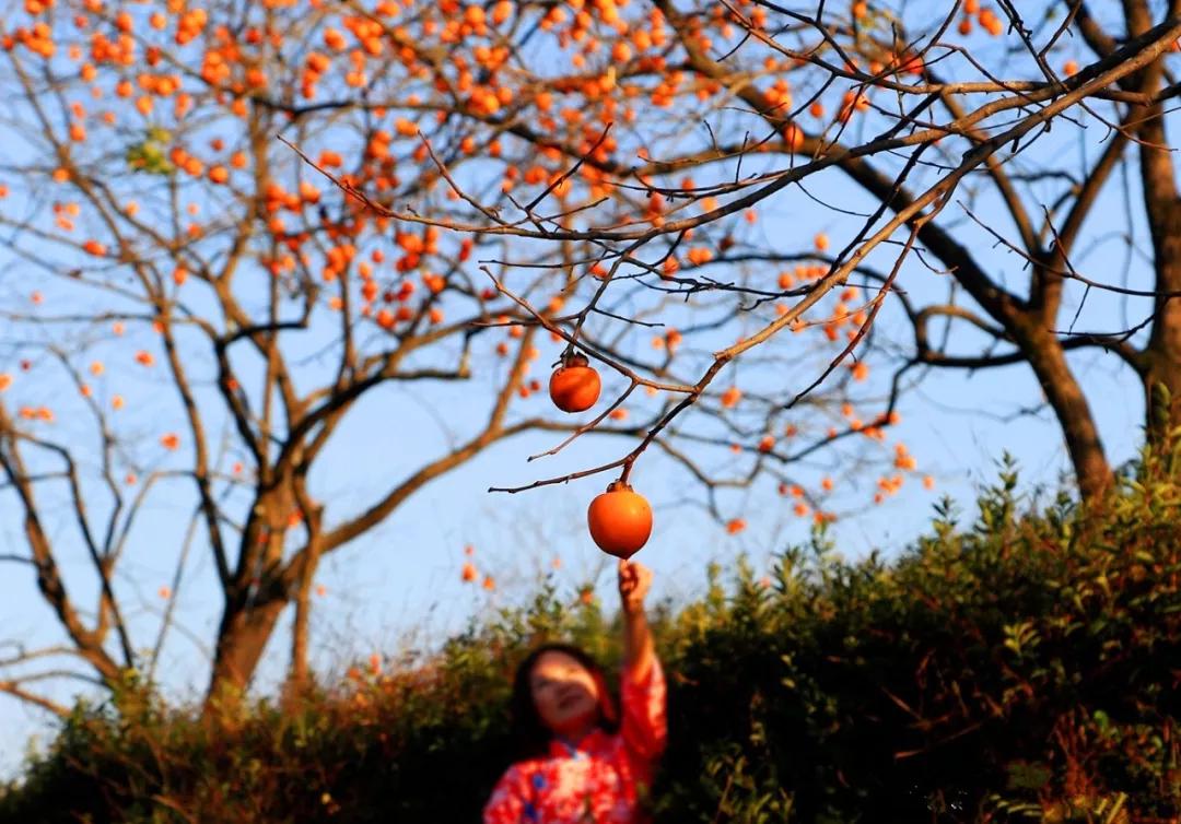 The location of "Changjin Lake" is exposed!Some people say that this