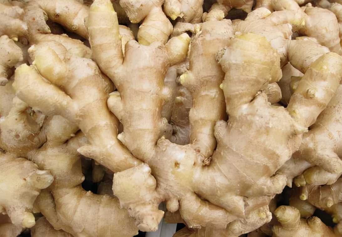Can ginger stuffed into the anus treat anorectal diseases?Doctor Don't