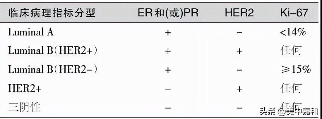 How do HER2-, ER+, PR+ (5%) view the classification of breast cancer ...