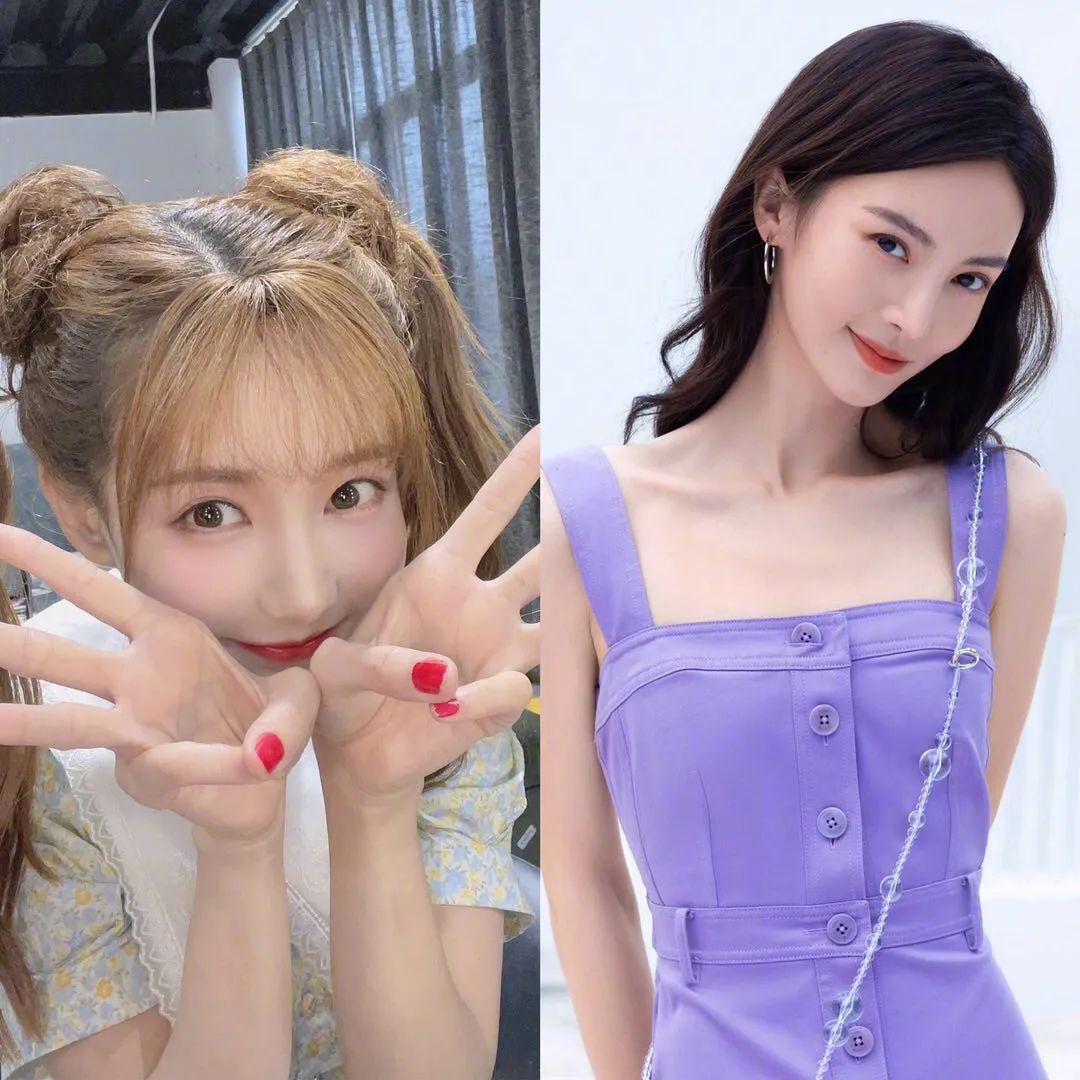 Xiao Zhan, Zhao Liying, Zhang Bichen, Big Breast Girl, Little Chicken