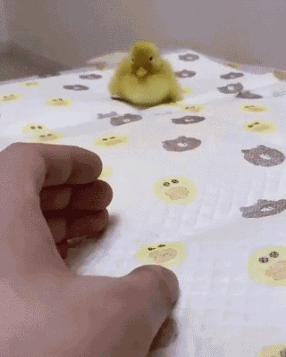 爆下动图图片：里面的妹子应该有一个有趣的灵魂