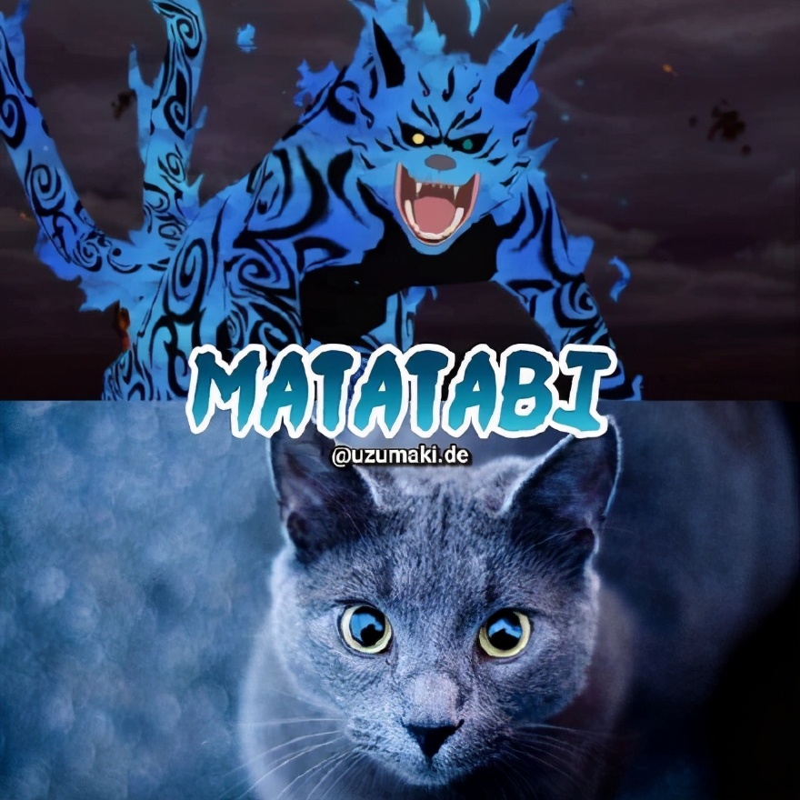 Netizens sorted out the prototypes of the nine-tailed beasts in 