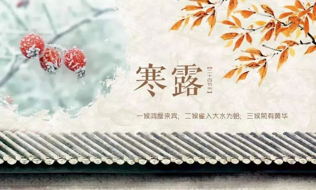 寒露发朋友圈的暖心文案句子带祝福图片