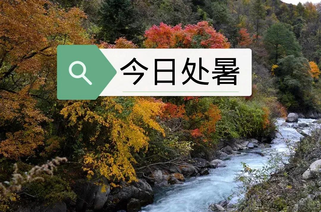 Qi Jue·Chu Qiu Qiu Si - iNEWS
